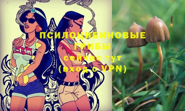 MESCALINE Михайловск